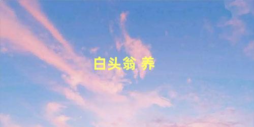 白头翁 养